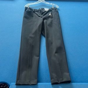 Express 10 Regular Ankle Mid Rise Pants